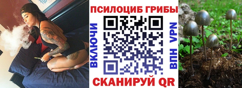 Псилоцибиновые грибы Cubensis  дарнет шоп  Валуйки 