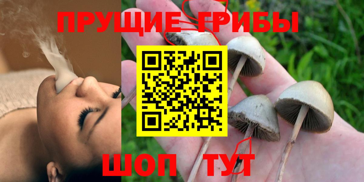Псилоцибиновые грибы Cubensis Валуйки