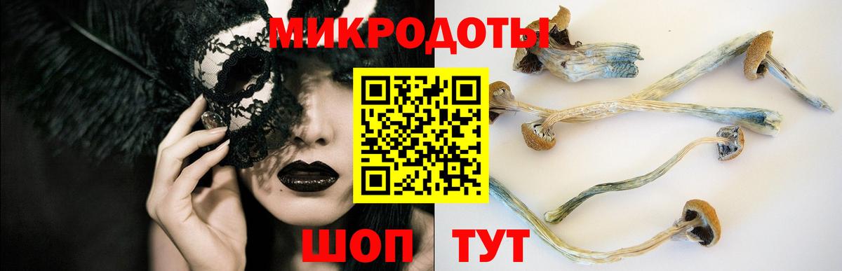 Галлюциногенные грибы GOLDEN TEACHER  Галлюциногенные грибы Magic Shrooms  Валуйки  Вход с VPN 
