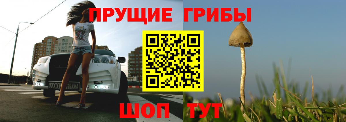 Галлюциногенные грибы Psilocybine cubensis  Псилоцибиновые грибы мицелий  Валуйки 