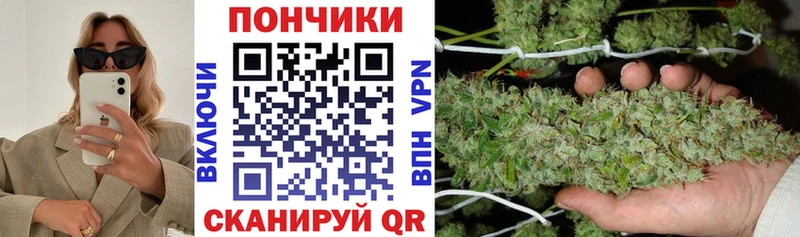 Бошки Шишки VHQ  закладка  darknet телеграм  Валуйки 