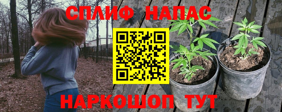 Бошки Шишки VHQ  Вход с VPN  Валуйки  Бошки Шишки VHQ 